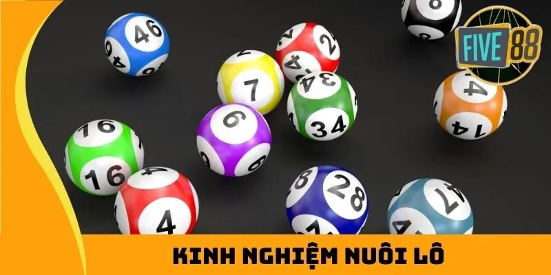 kinh nghiệm nuôi lô