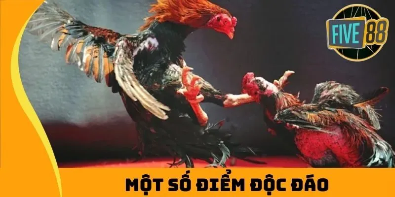 Một số điểm độc đáo