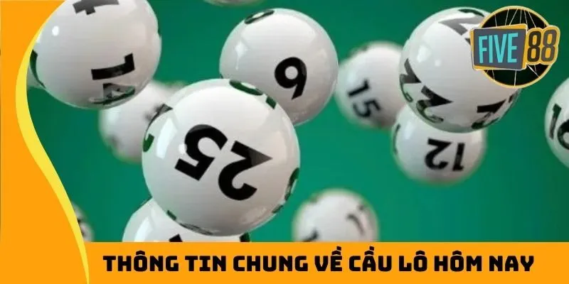Thông tin chung về cầu lô hôm nay